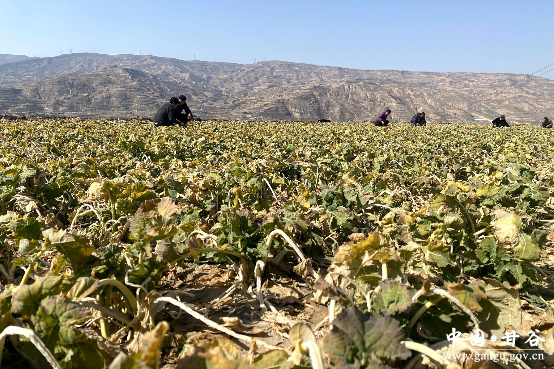 830e249aae4dca659775b6895b380ef 830e249aae4dca659775b6895b380ef