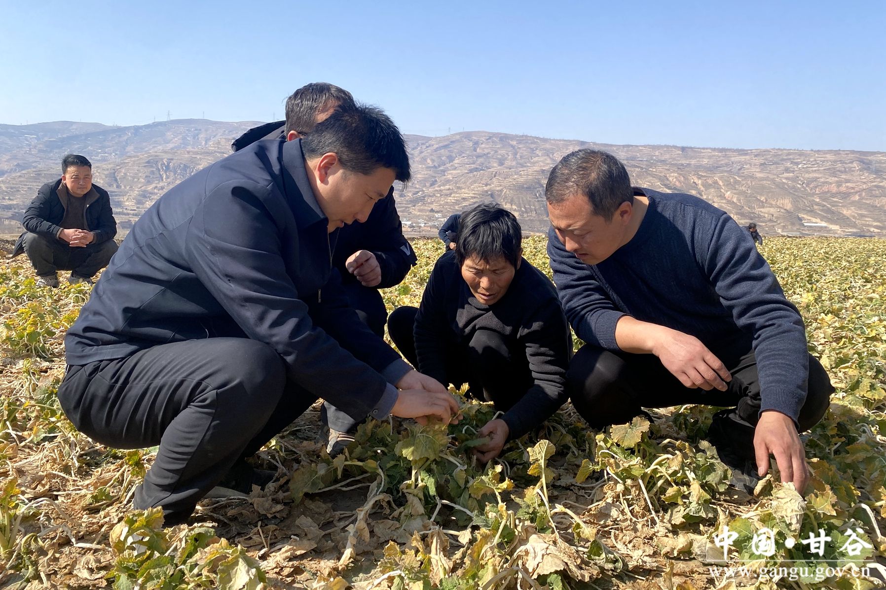 c7737943479a5b4e7818704329b0003 c7737943479a5b4e7818704329b0003