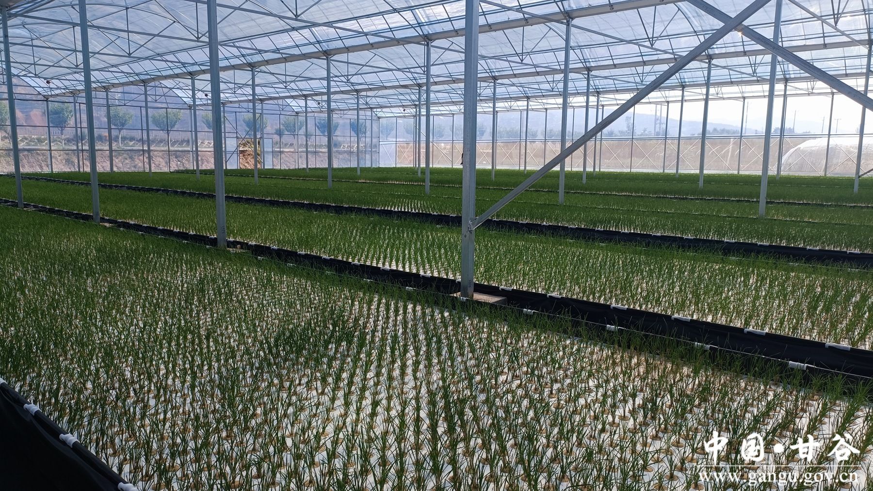 1752802201648041896 1752802201648041896