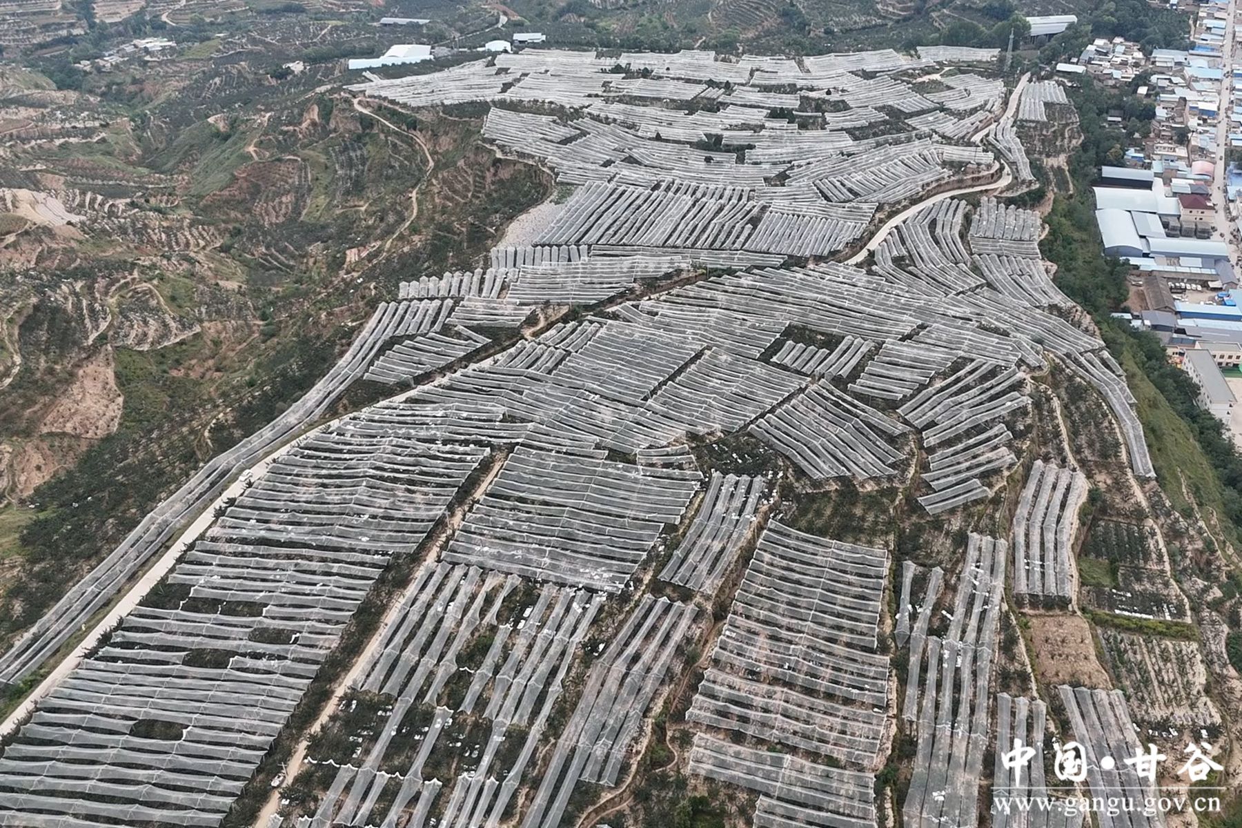 1726645479154033616 1726645479154033616