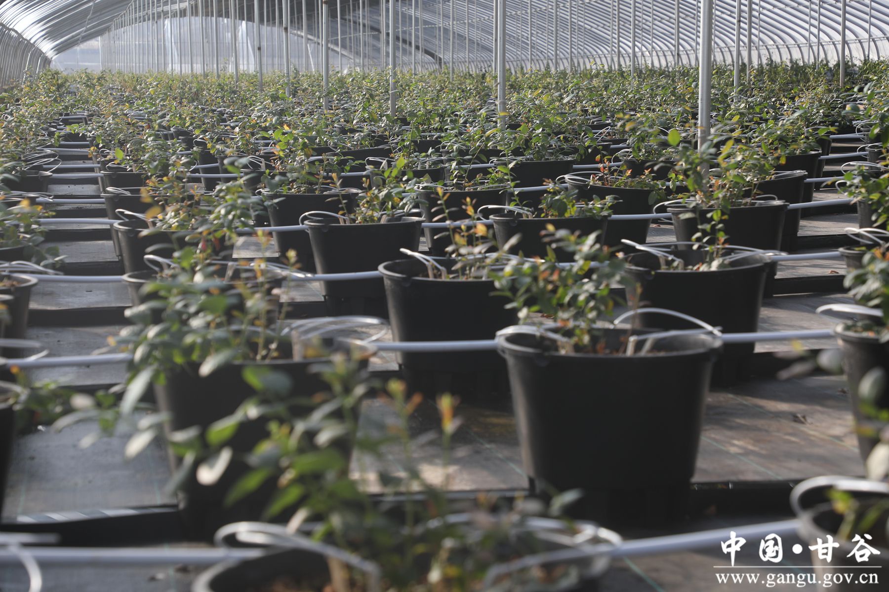 926A7216_副本 926A7216_副本