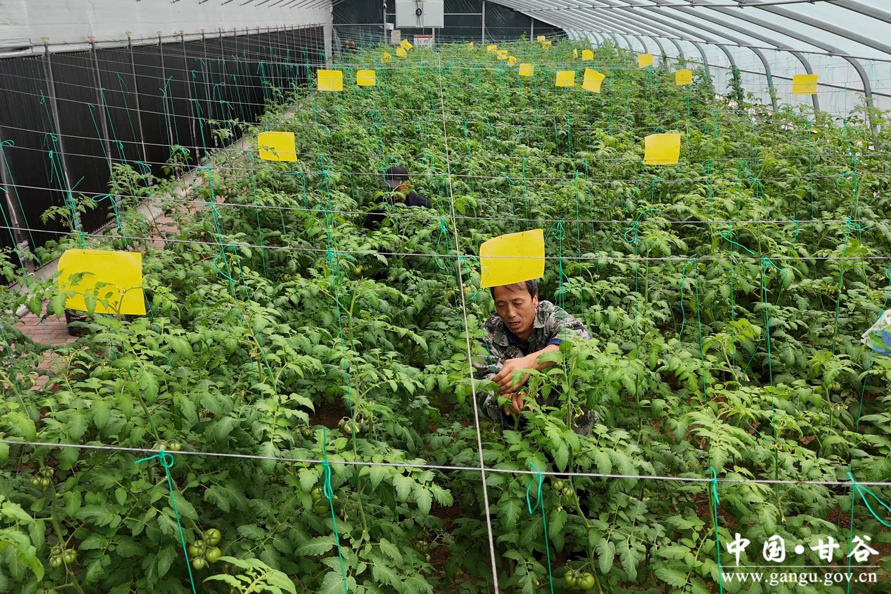 1729858374721043964 1729858374721043964