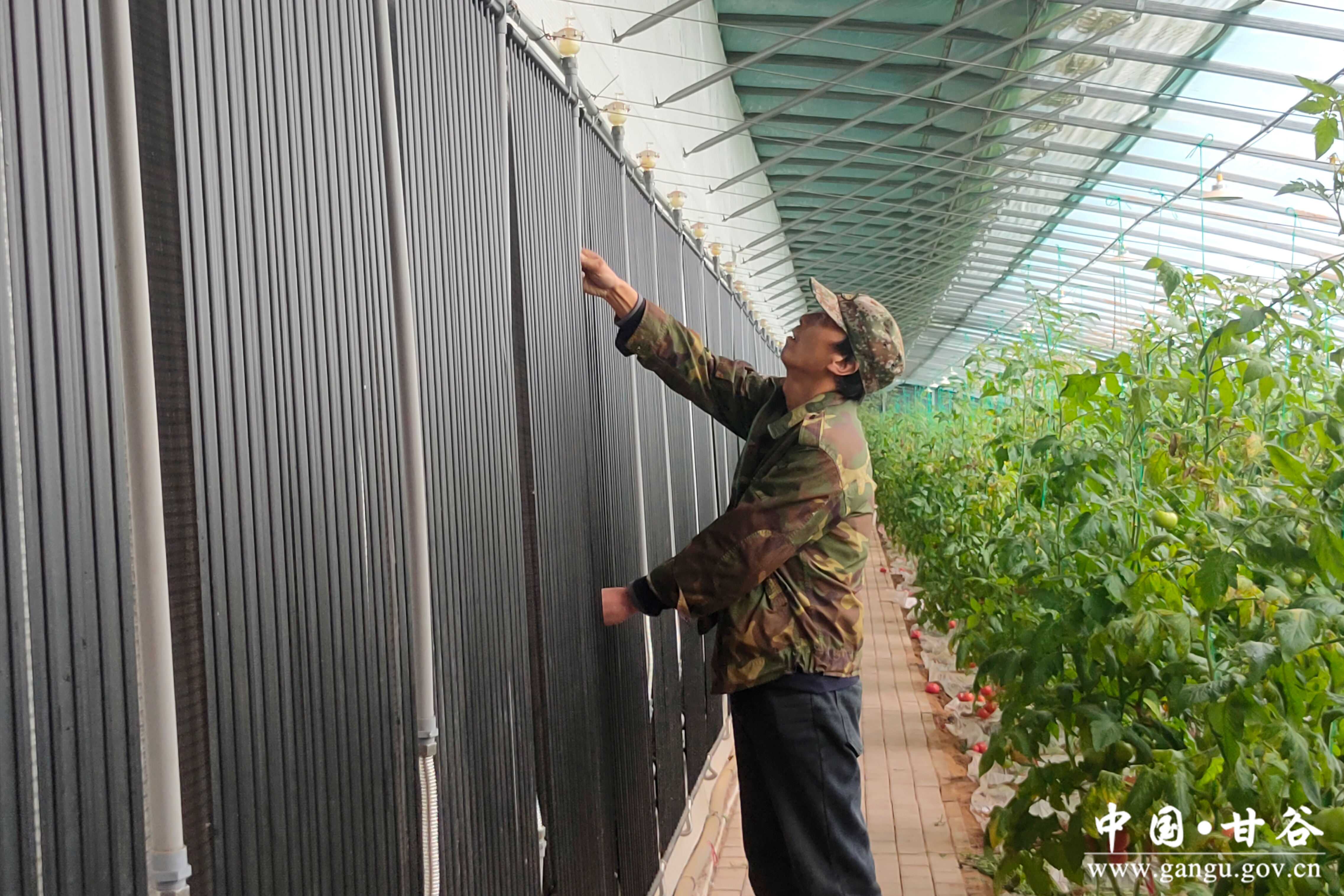 1773460849375026511.jpg 1773460849375026511.jpg