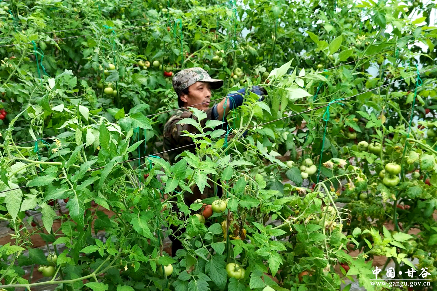 1773460861228002567.jpg 1773460861228002567.jpg