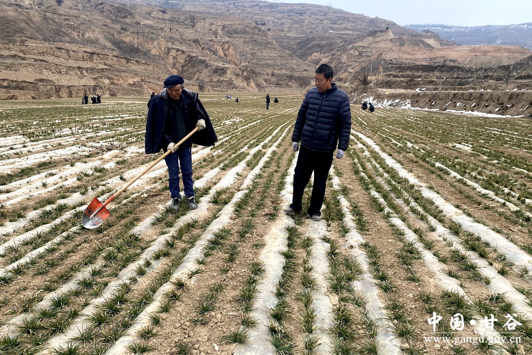 b7cb9cbea3beb2b534c721804399363 b7cb9cbea3beb2b534c721804399363