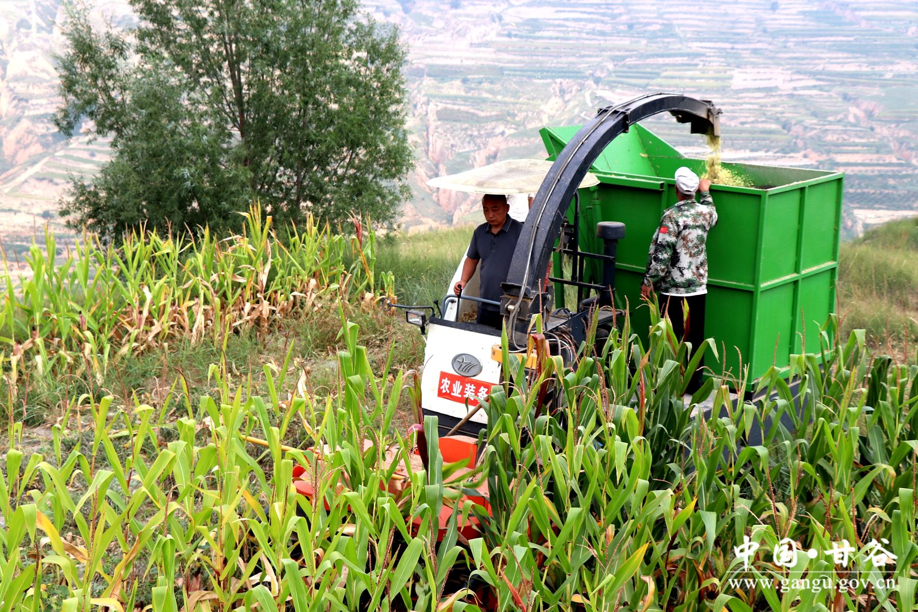 IMG_7922_副本 IMG_7922_副本