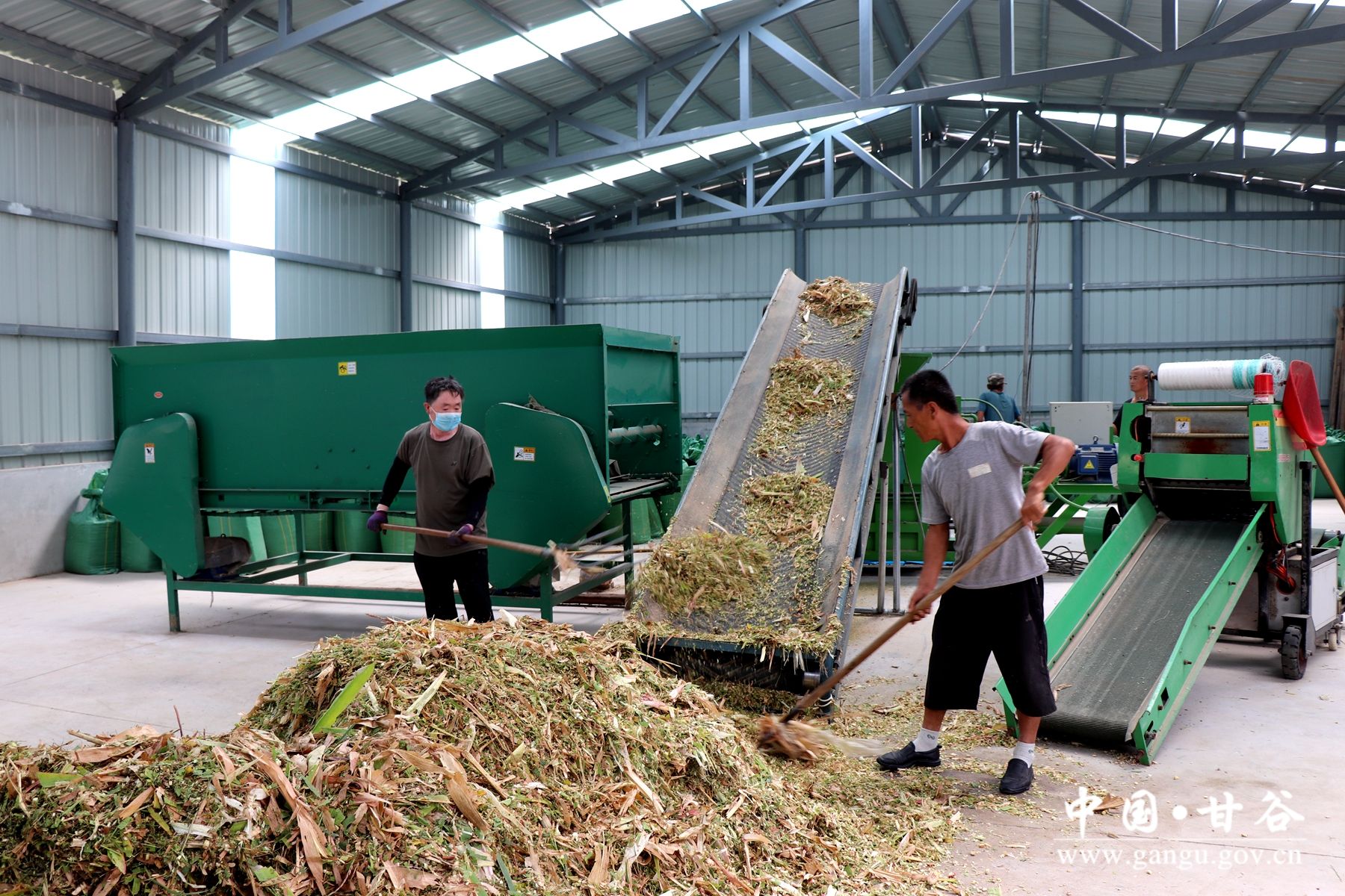 IMG_7977_副本 IMG_7977_副本