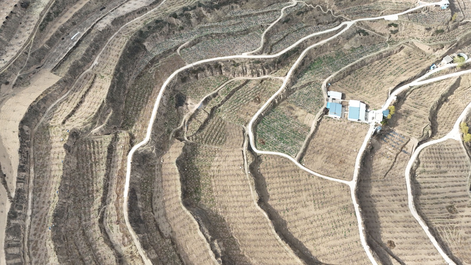 DJI_20250429204042_0436_D DJI_20250429204042_0436_D