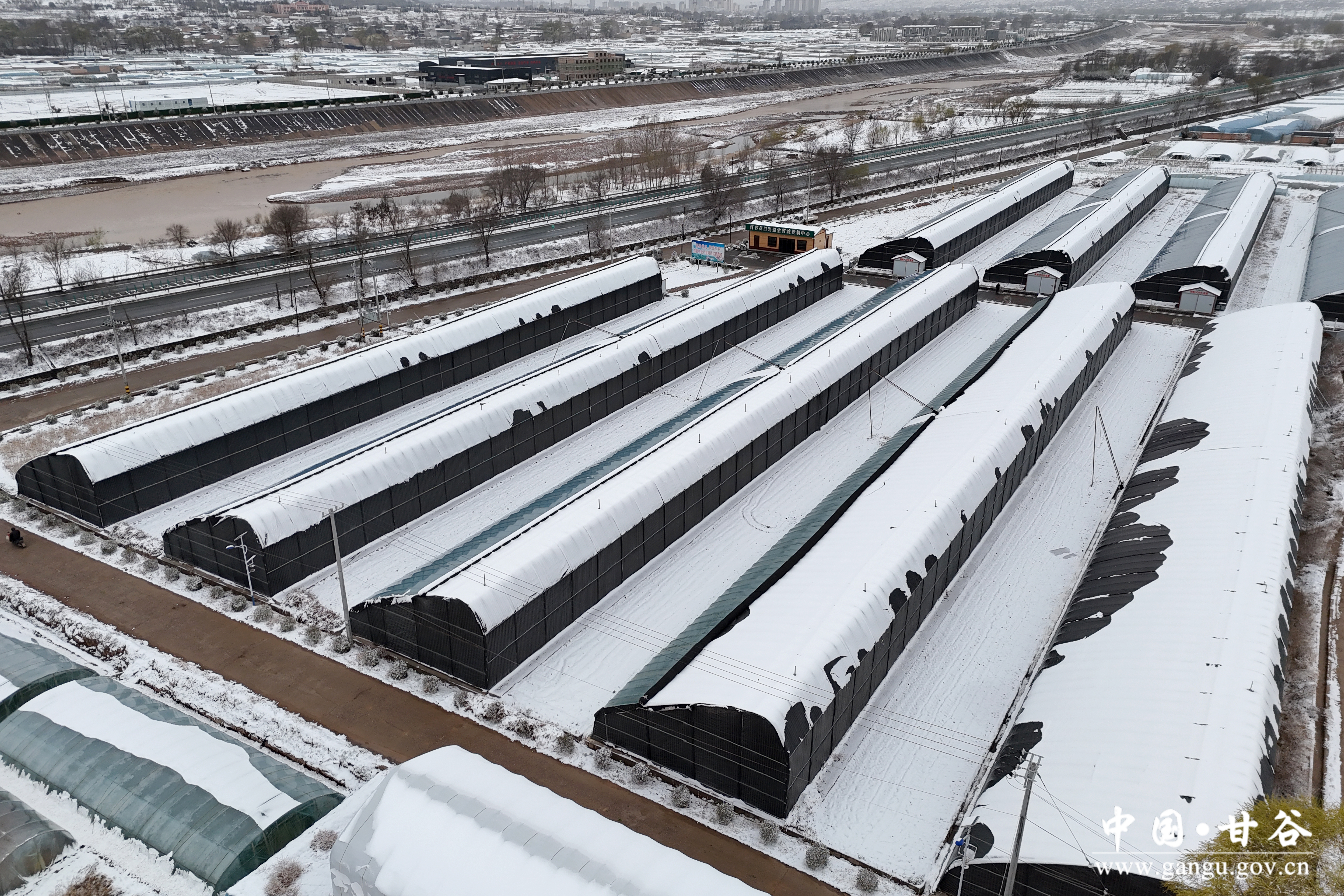 1773460819687064785.jpg 1773460819687064785.jpg