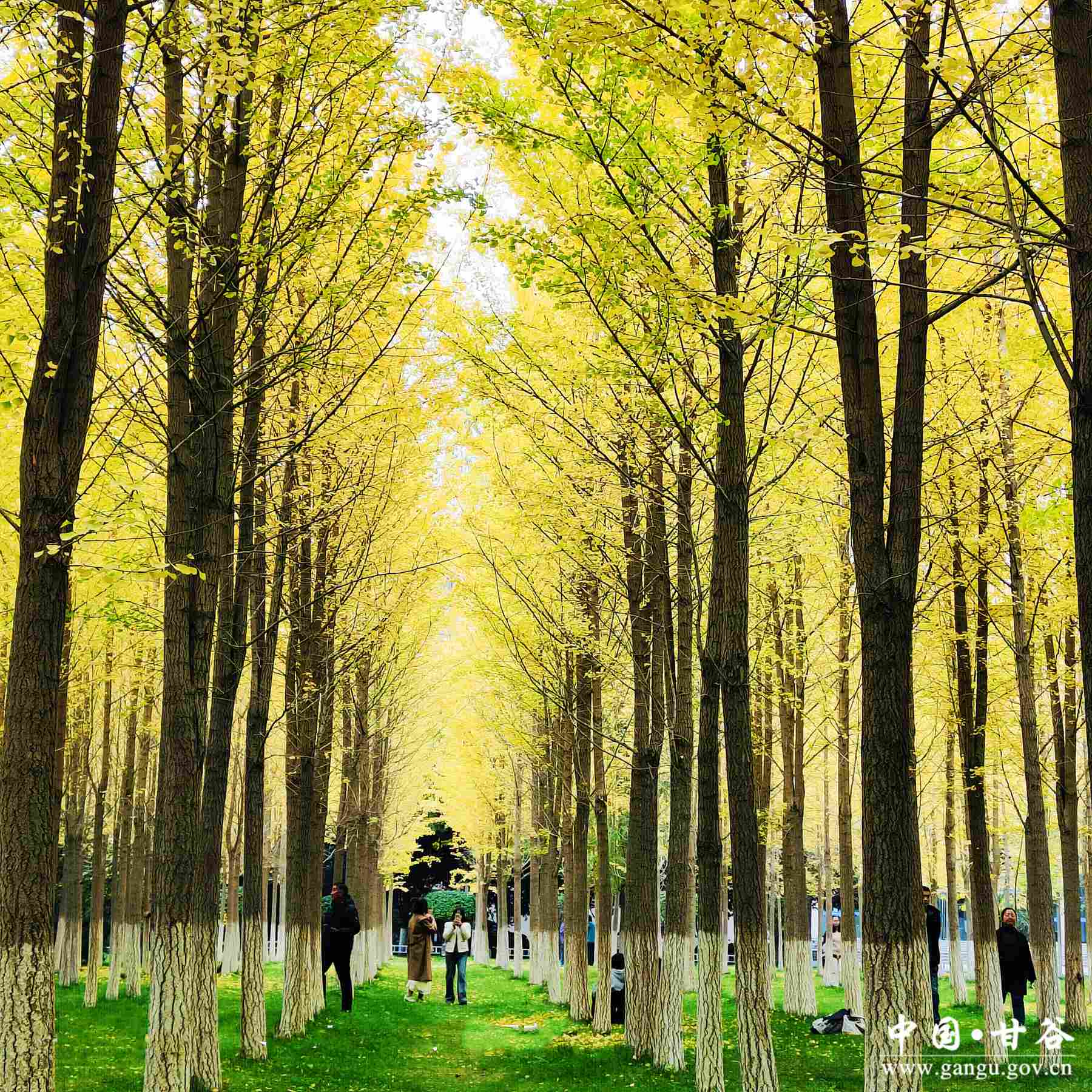 任乃萍 (1) 任乃萍 (1)