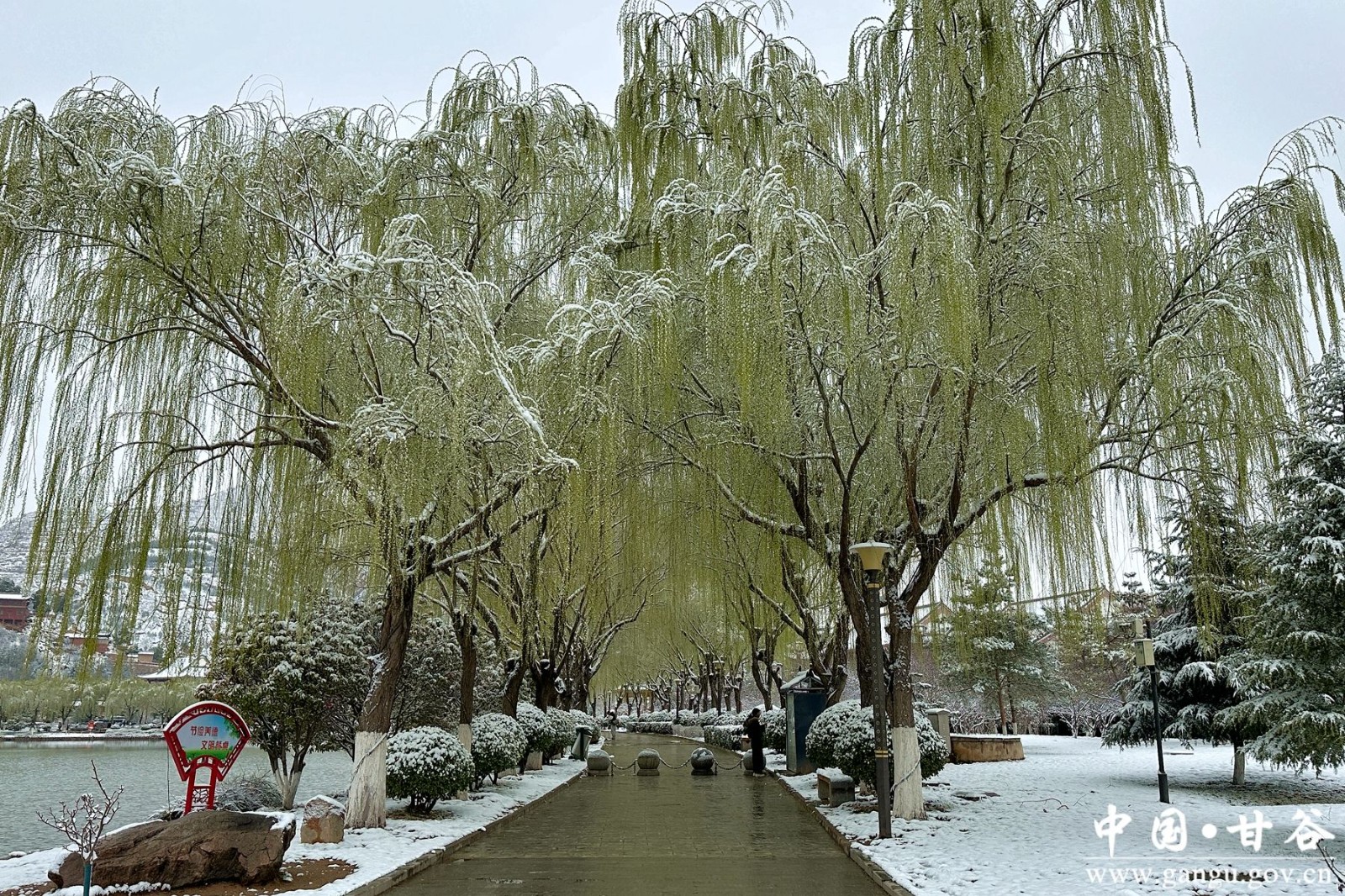 微信图片_20260314093528_3_4_副本 微信图片_20260314093528_3_4_副本