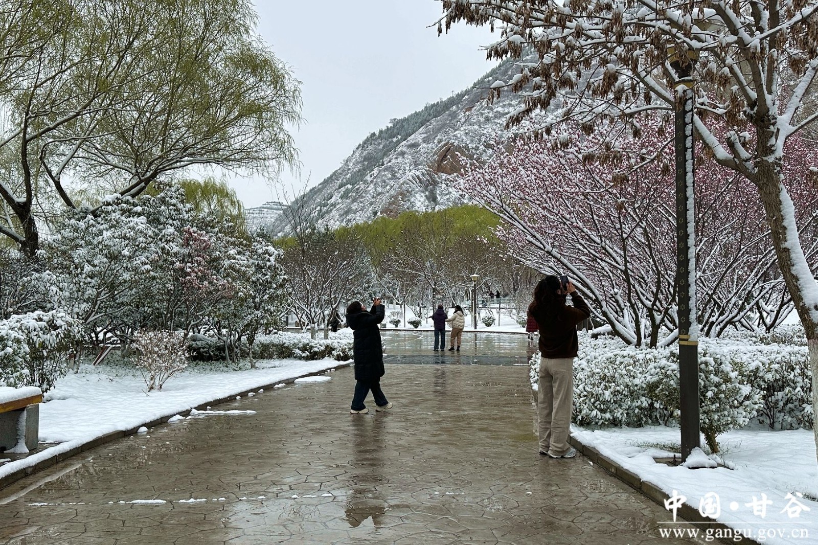 微信图片_20260314093752_17_4_副本 微信图片_20260314093752_17_4_副本