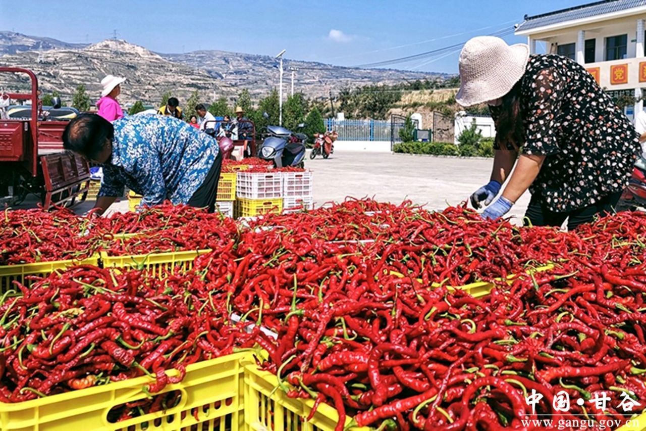 992ee89b5d924965b93aa1e902601cac_s 992ee89b5d924965b93aa1e902601cac_s