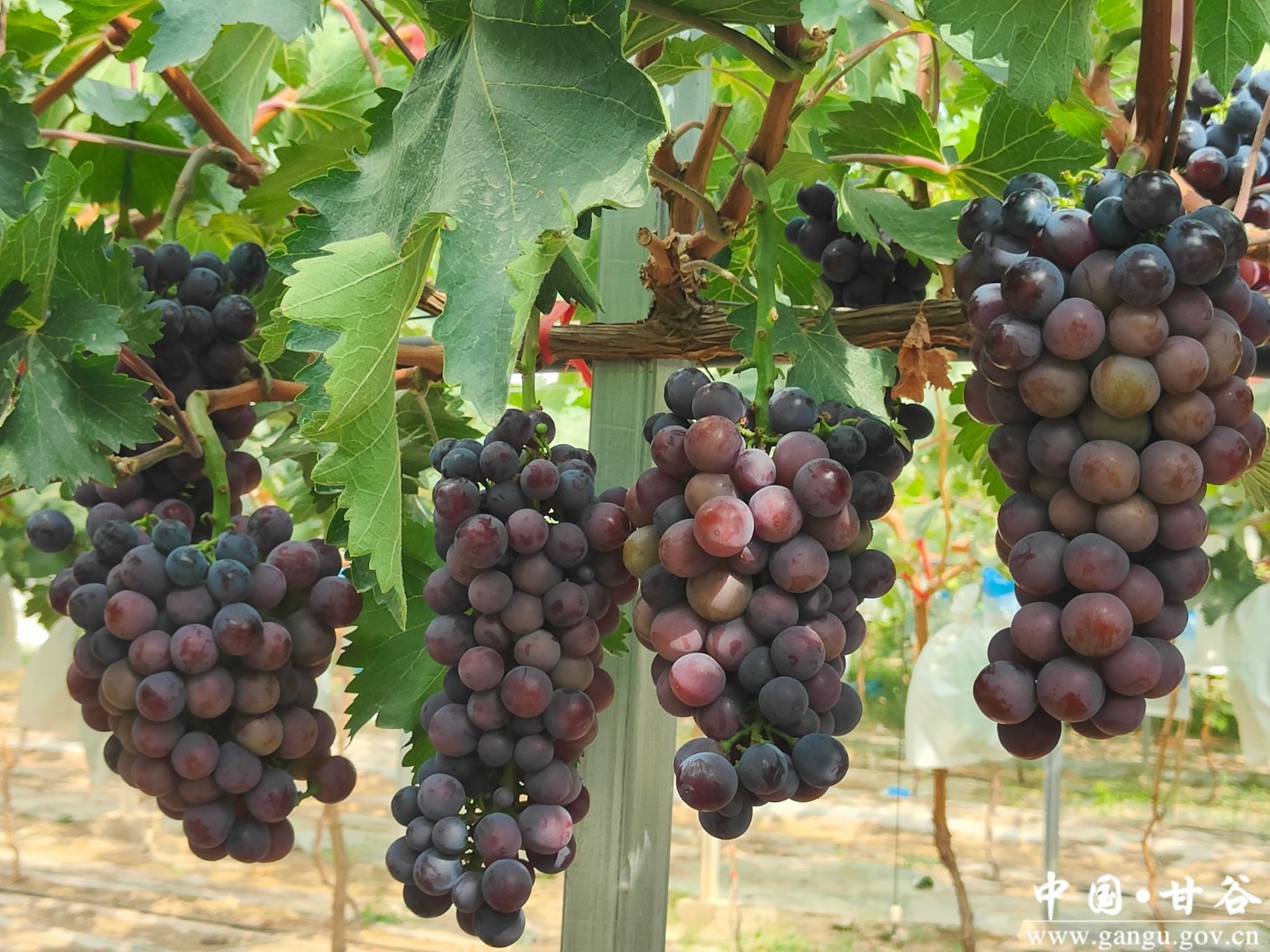 virtual_resource_file (12) virtual_resource_file (12)