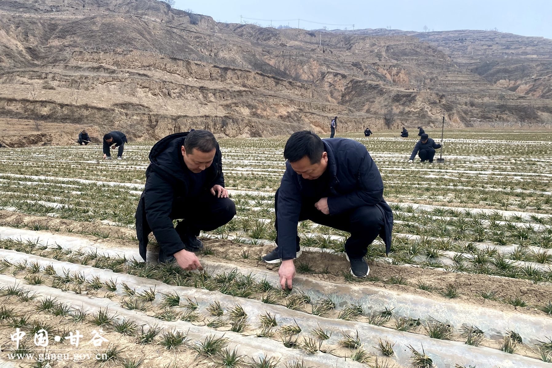 db35f96a90c5e3a3c580cdfc0d77a58 db35f96a90c5e3a3c580cdfc0d77a58