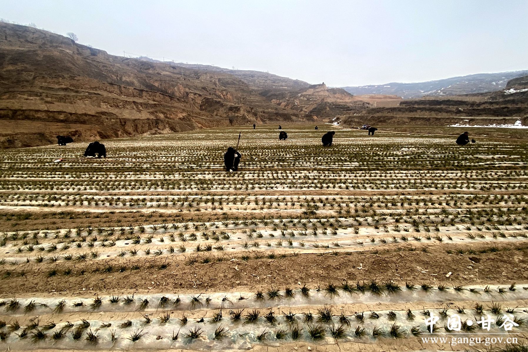 fb7dab2bd7e36ad6290bd4f1e2db24c fb7dab2bd7e36ad6290bd4f1e2db24c