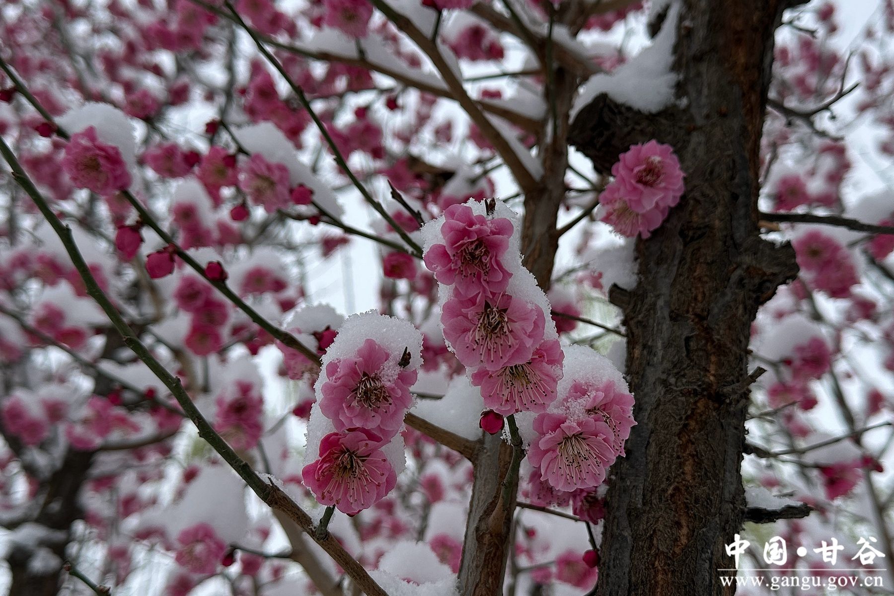 微信图片_20260314093854_24_4_副本 微信图片_20260314093854_24_4_副本