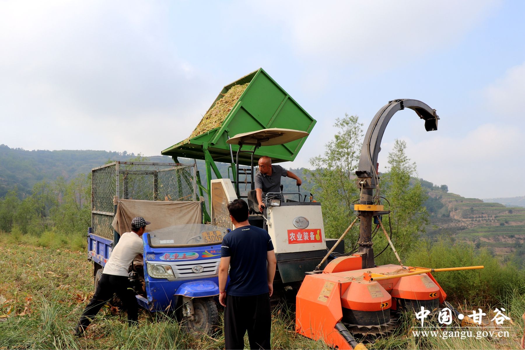 IMG_7937_副本 IMG_7937_副本