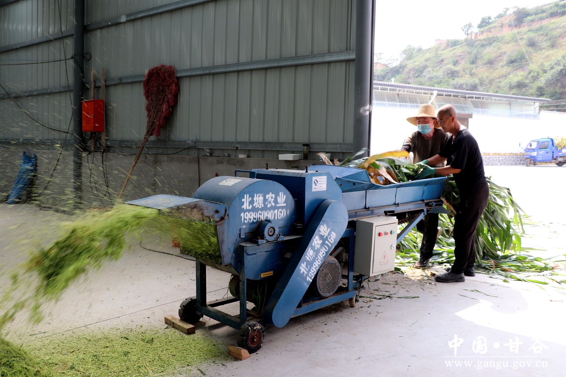 IMG_7992_副本 IMG_7992_副本