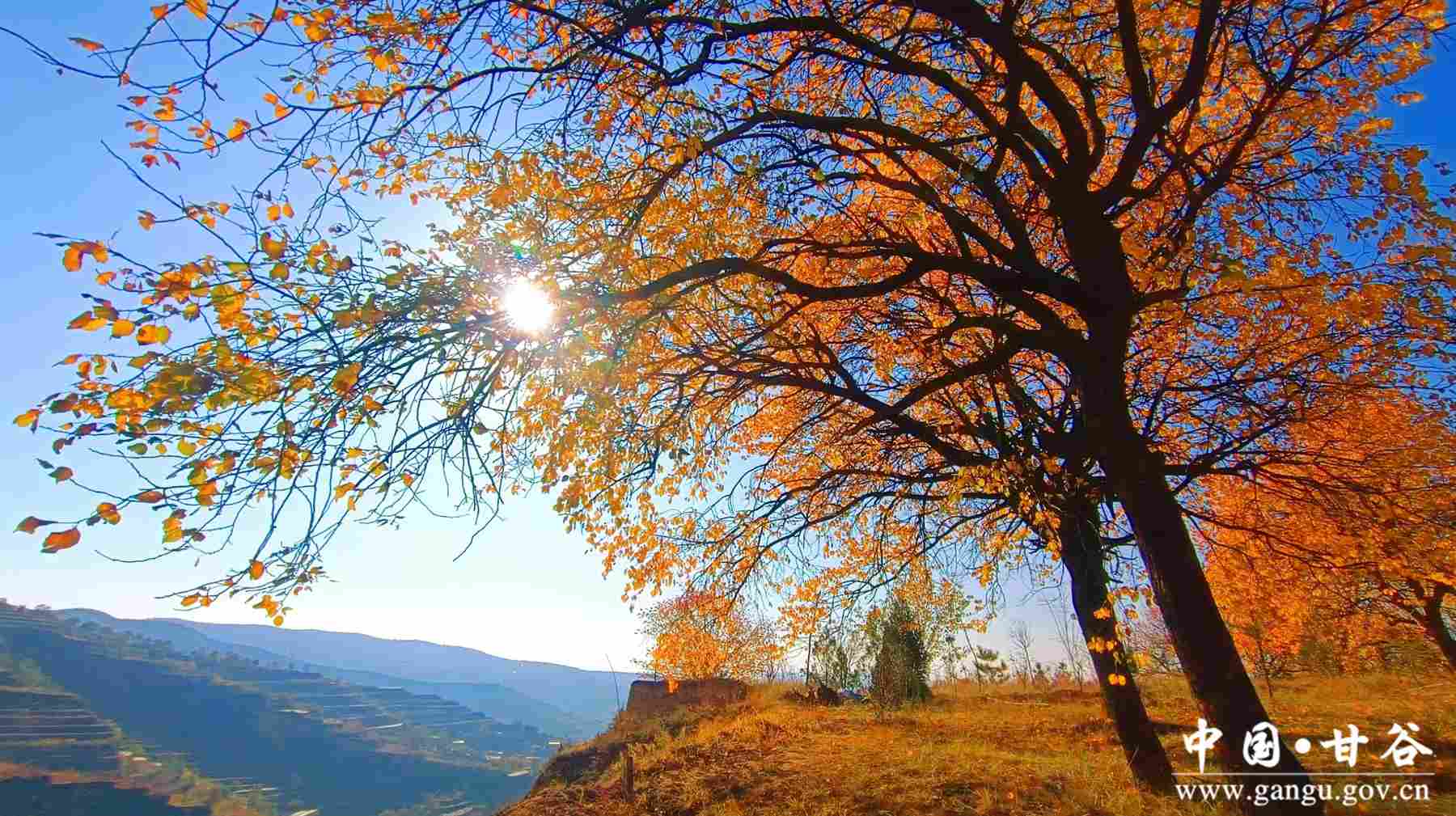 黄洁 (7) 黄洁 (7)