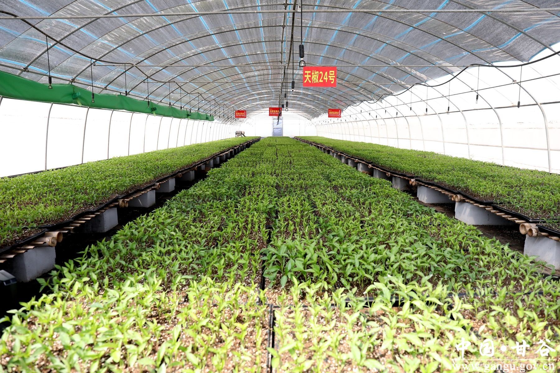 8232DC1BBFBBC2454491C3BFC40_2ECC8E2D_8DE45_副本 8232DC1BBFBBC2454491C3BFC40_2ECC8E2D_8DE45_副本