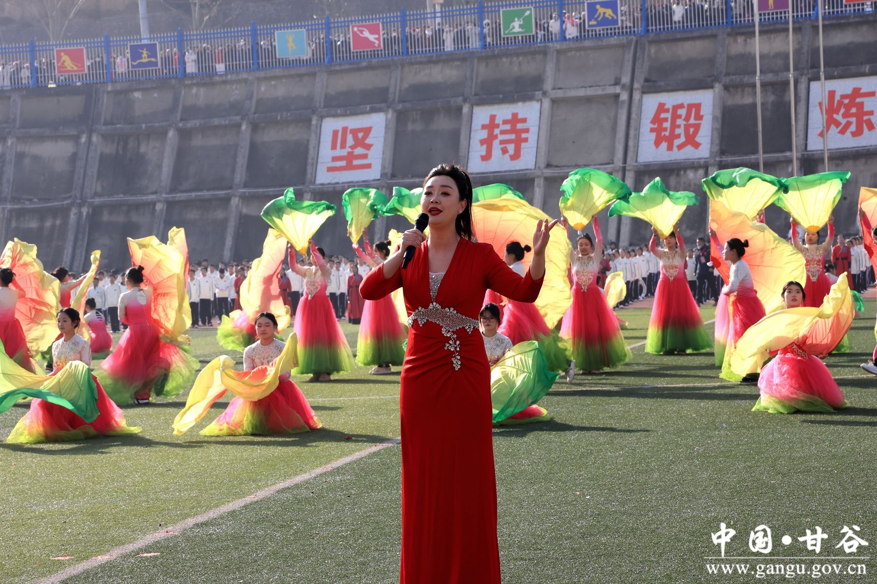 B50A2291_副本 B50A2291_副本