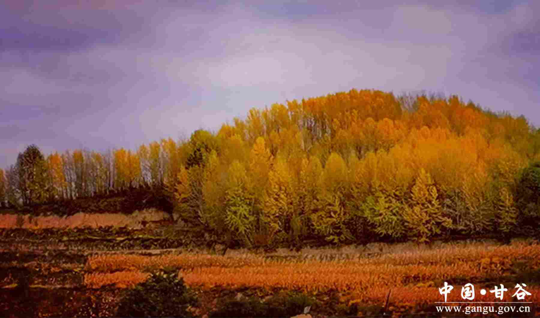 程根福 (1) 程根福 (1)