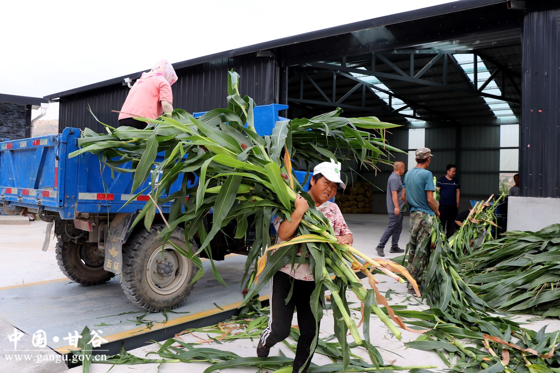 IMG_7949_副本 IMG_7949_副本