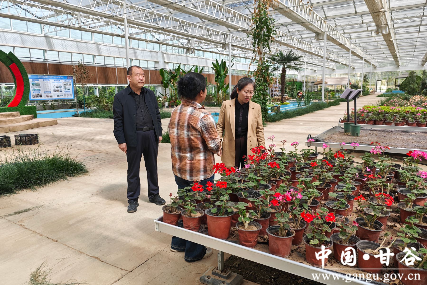 微信图片_20250510085609