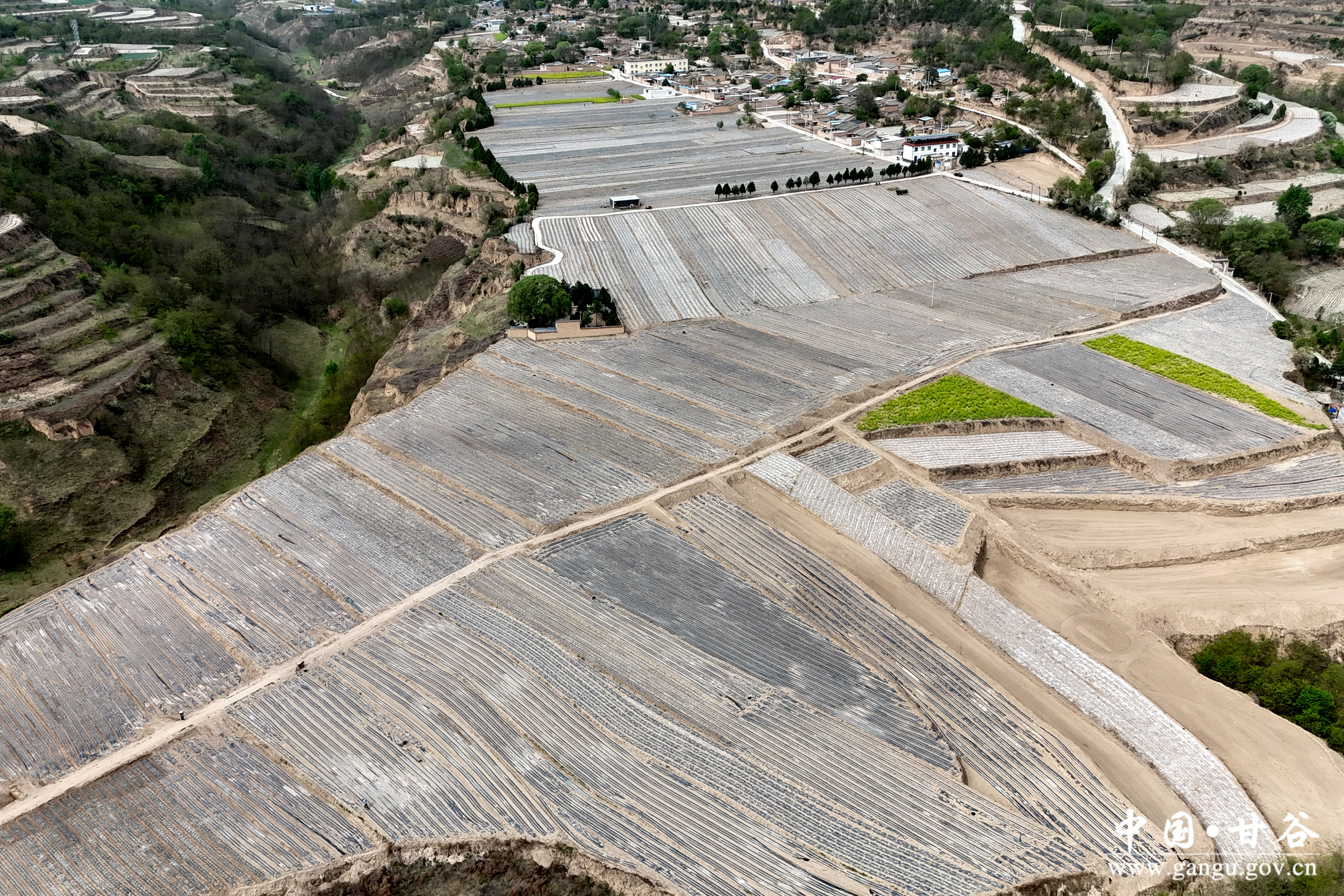 1746692238407092961.jpg 1746692238407092961.jpg