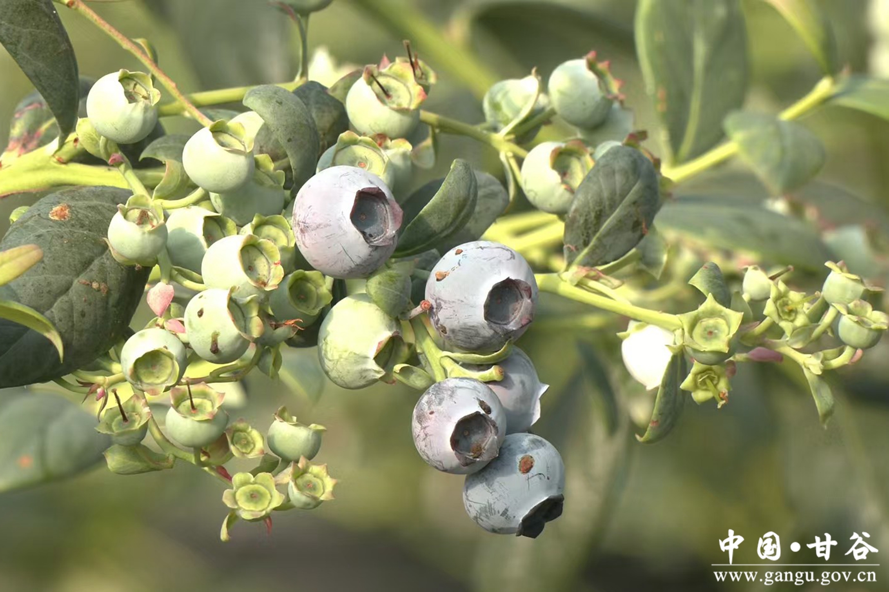 微信图片_20250226094831 微信图片_20250226094831