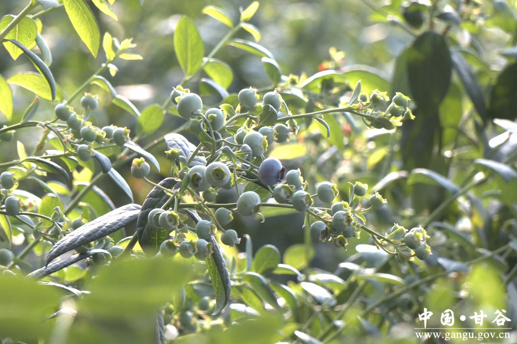 微信图片_20250226094828 微信图片_20250226094828