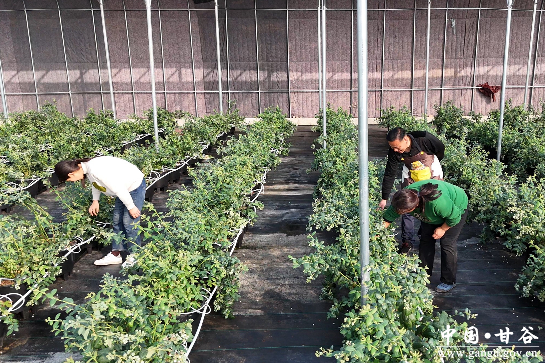 微信图片_20250226094825 微信图片_20250226094825