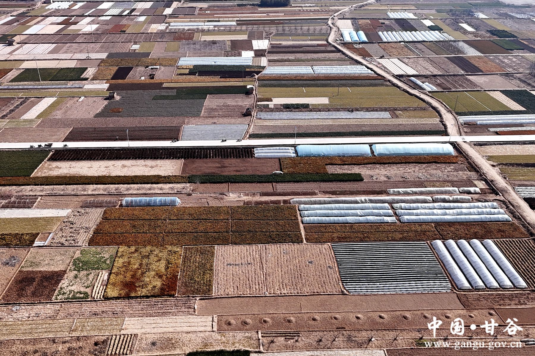 DJI_20250226112051_0485_D DJI_20250226112051_0485_D