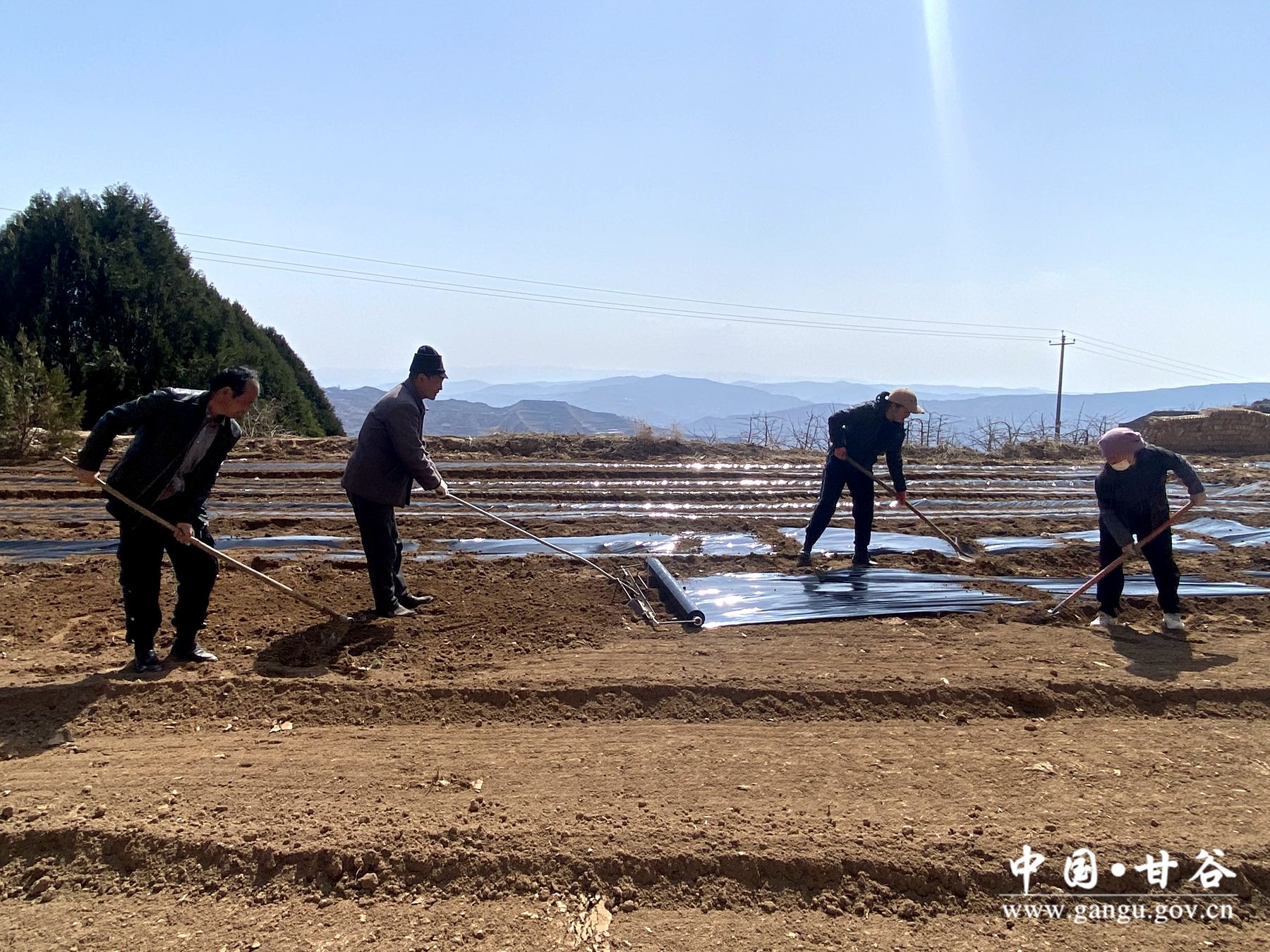 00aac66b1bf6c748357c7d48f59ccff 00aac66b1bf6c748357c7d48f59ccff