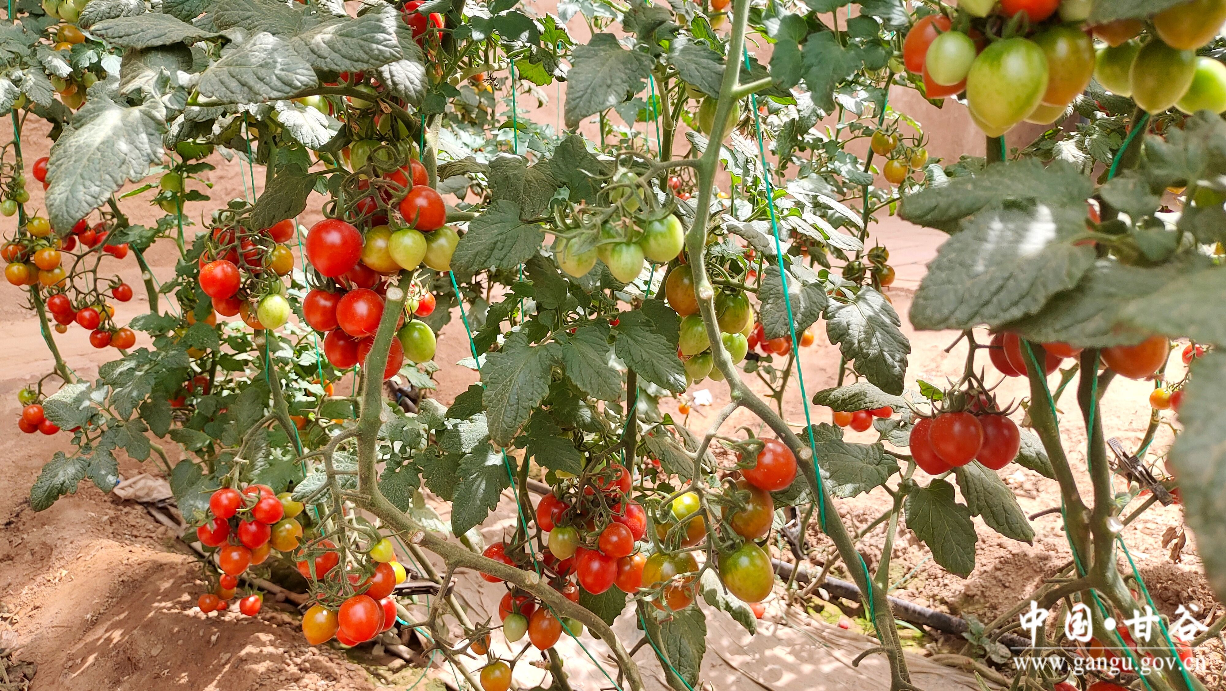 1718248908787009328.jpg 1718248908787009328.jpg