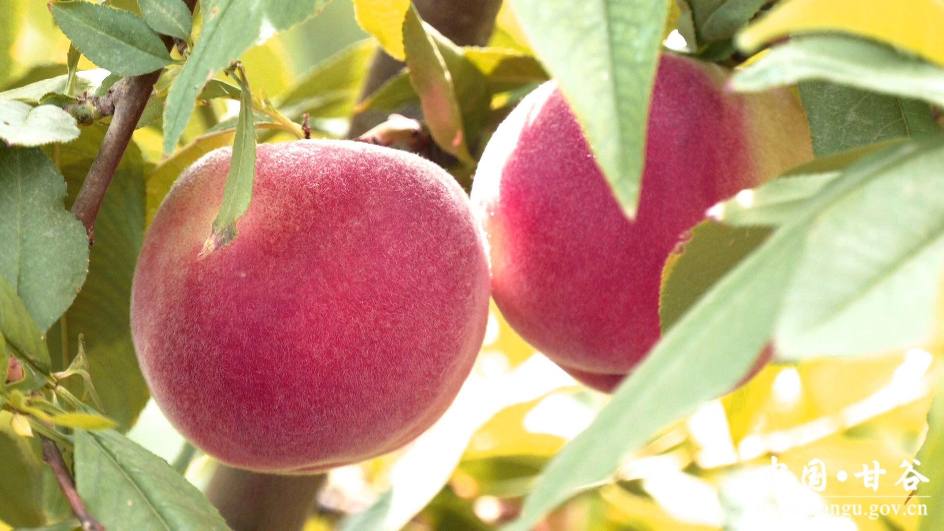 1718249504767054016.jpg 1718249504767054016.jpg