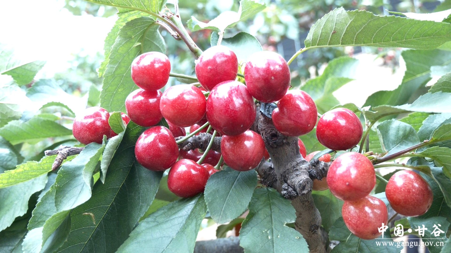 1718249459867038144.jpg 1718249459867038144.jpg