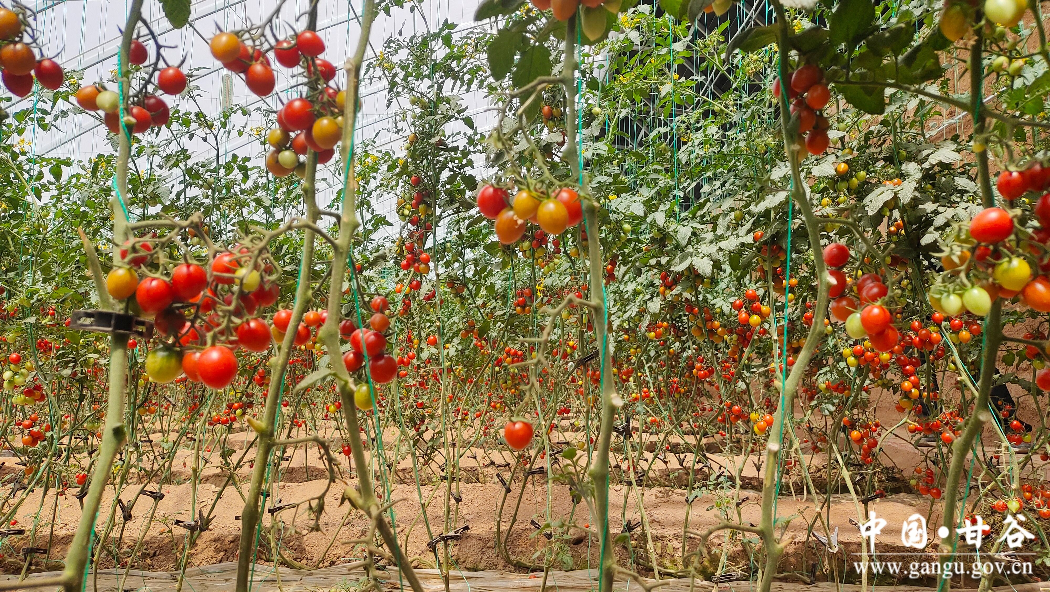 1718248748343097641.jpg 1718248748343097641.jpg