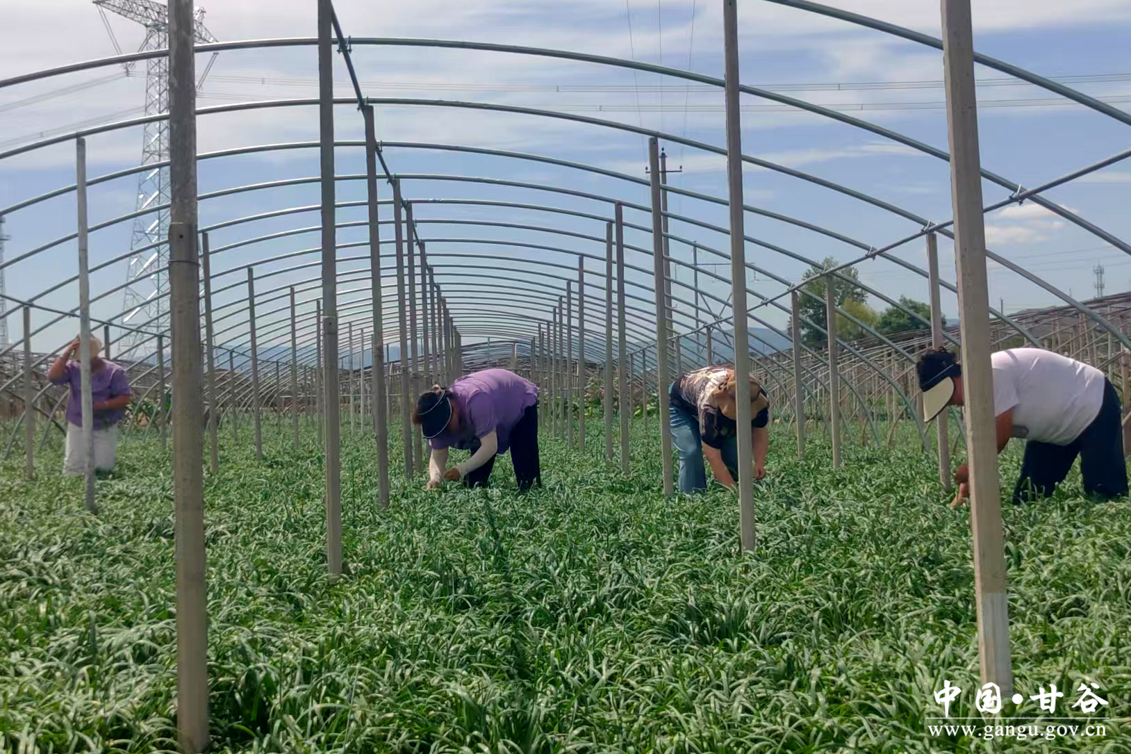 1751939270435040646.jpg 1751939270435040646.jpg