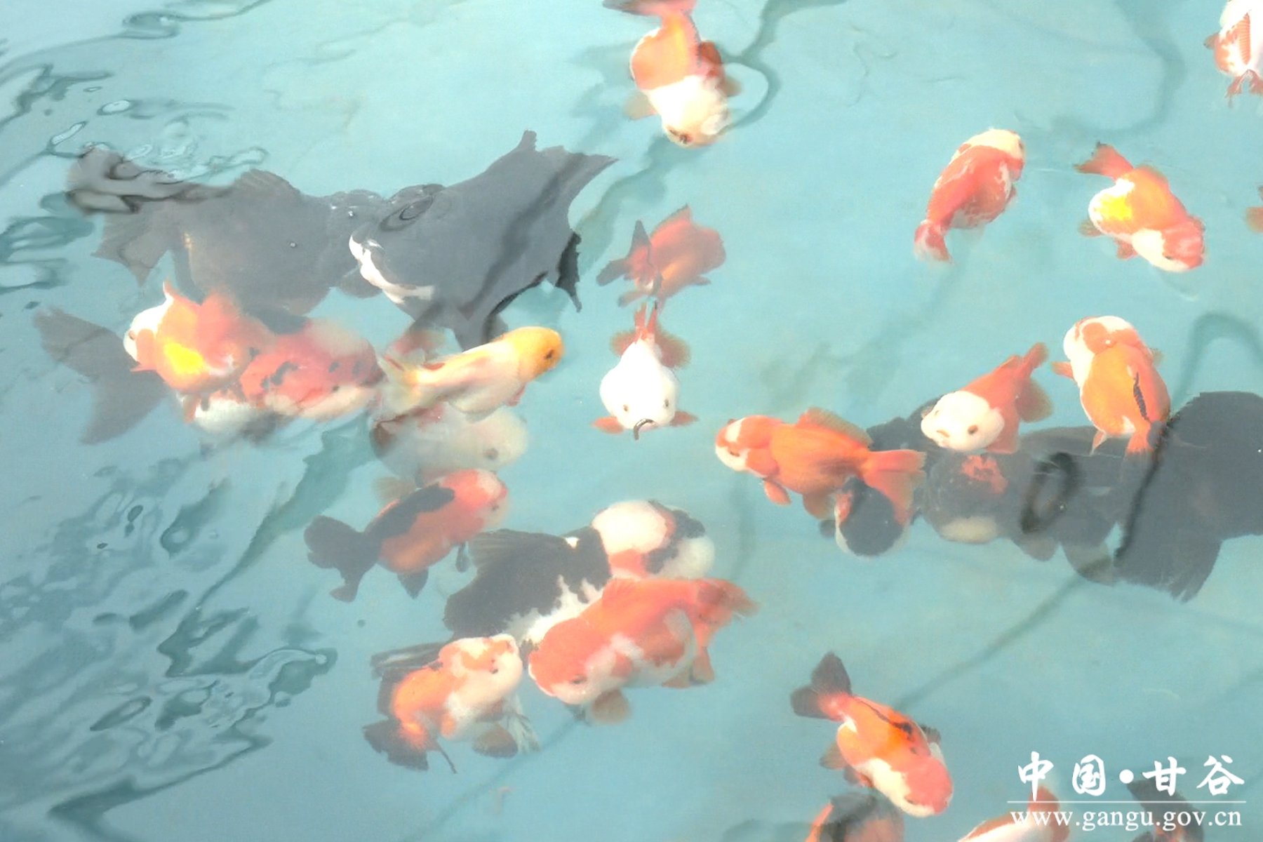 微信图片_20250321102723 微信图片_20250321102723