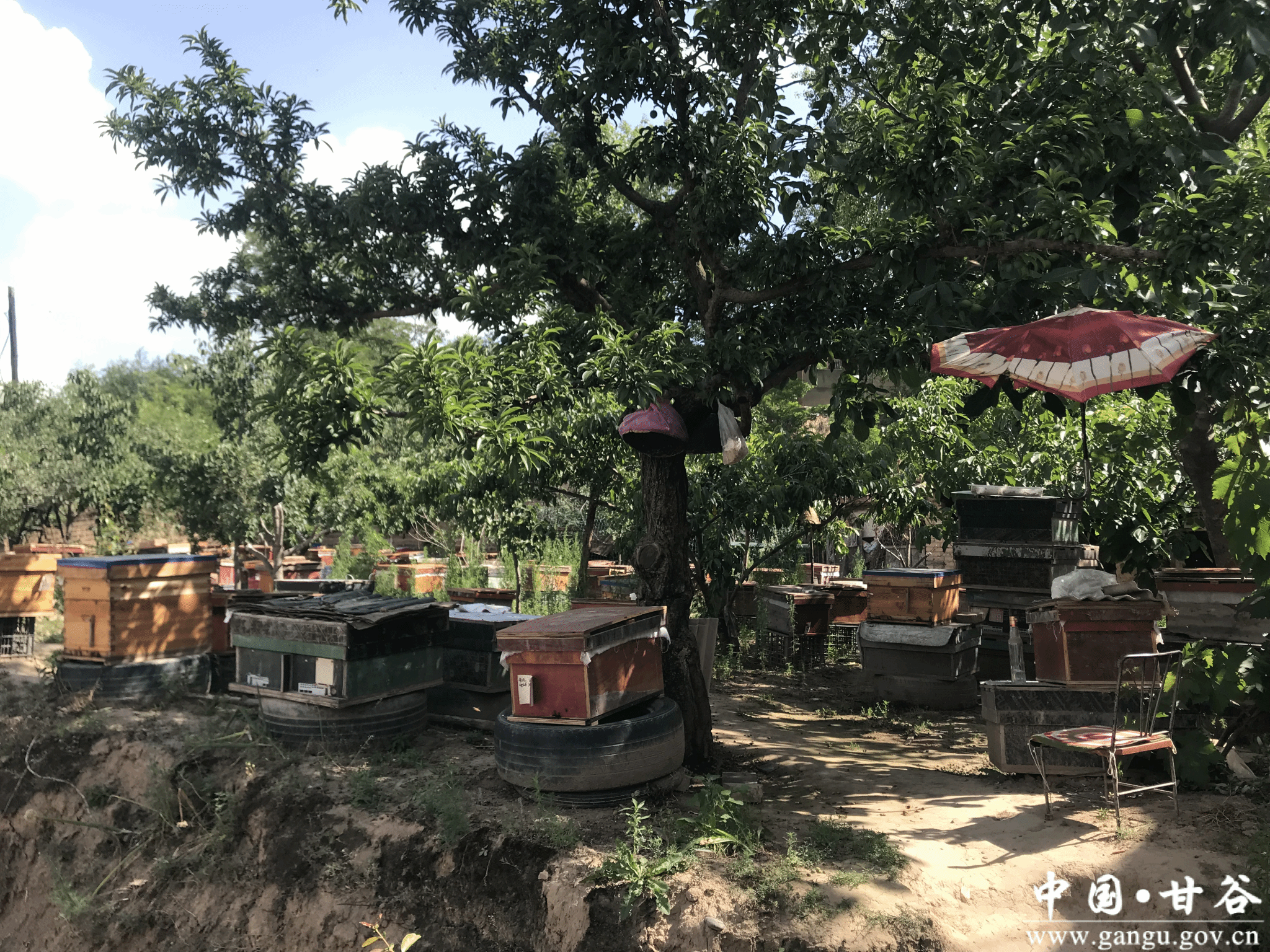 AC484CA6D0560C02C53C35B7FF0_6FA3591D_1DAA89 AC484CA6D0560C02C53C35B7FF0_6FA3591D_1DAA89