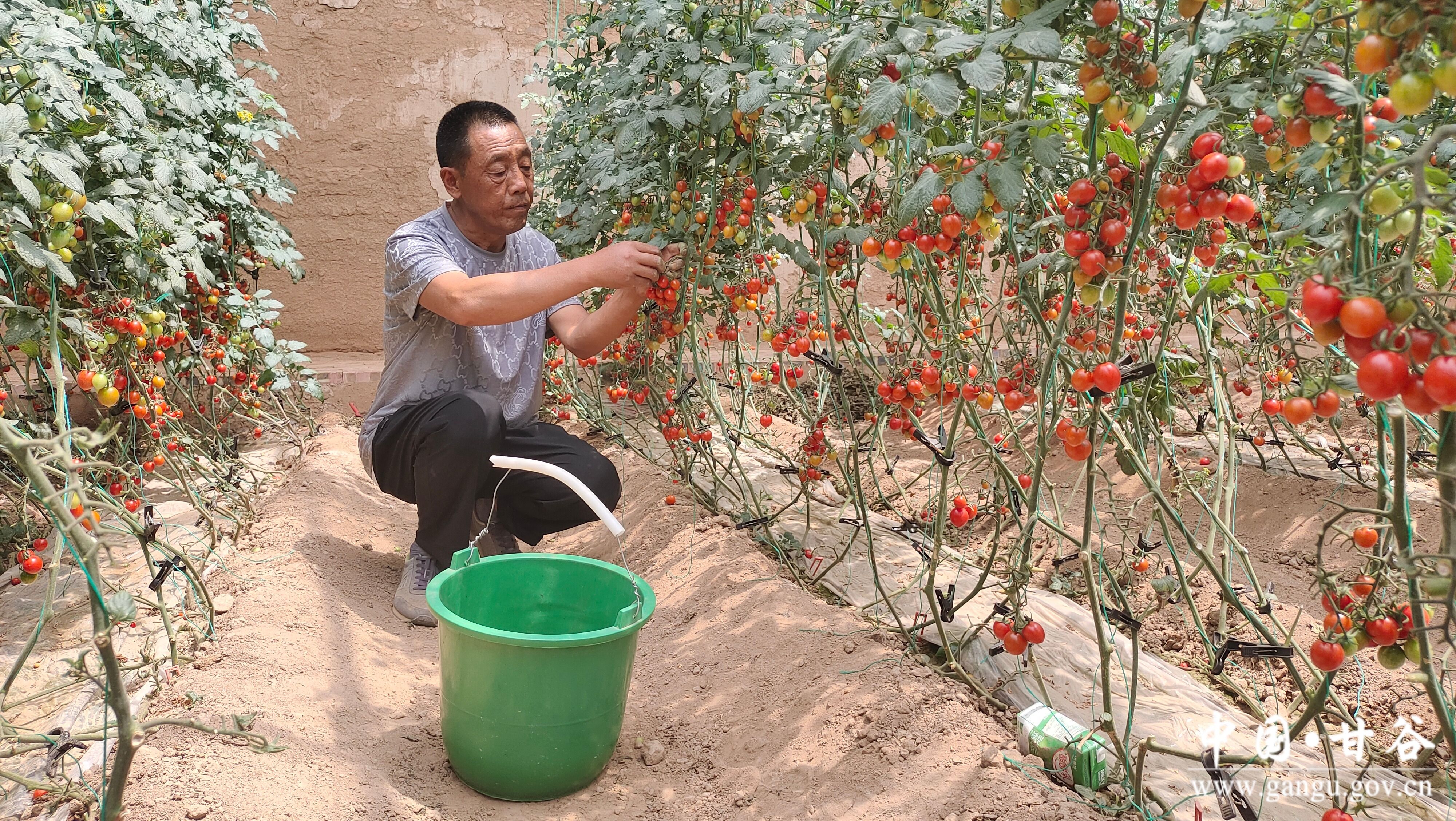 1718248818693033312.jpg 1718248818693033312.jpg