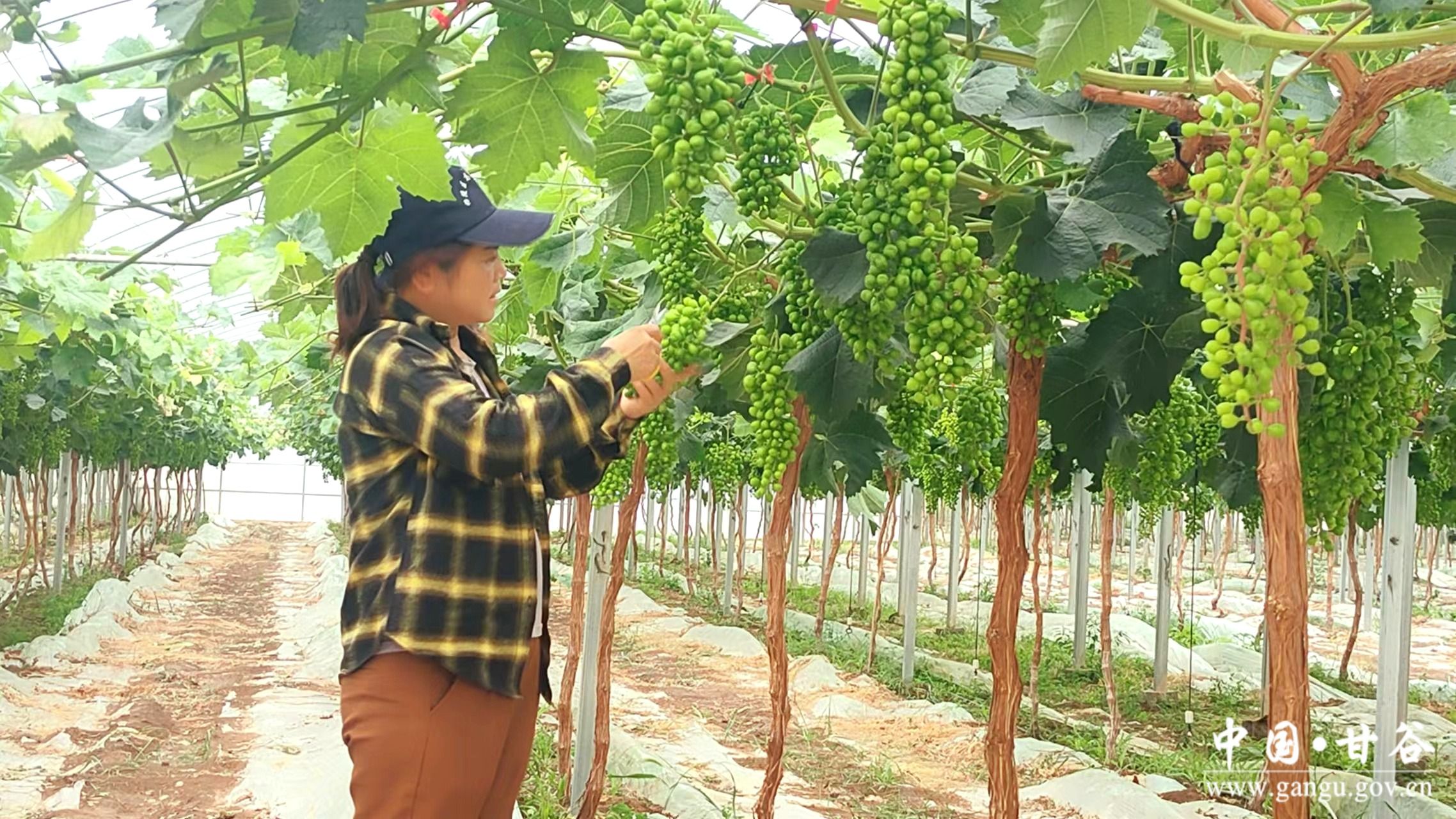 1718249046931036895.jpg 1718249046931036895.jpg