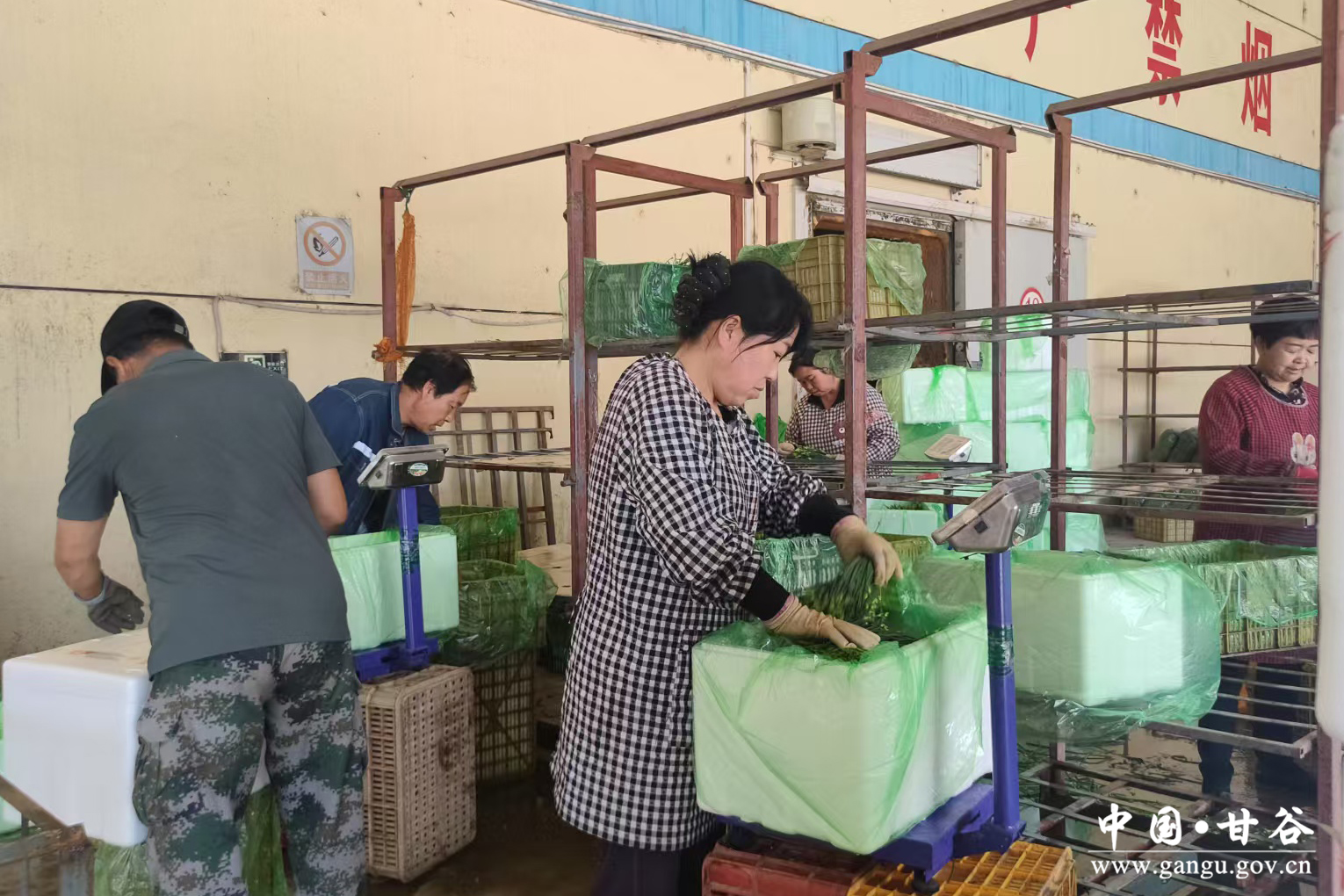 1751939507604086007.jpg 1751939507604086007.jpg