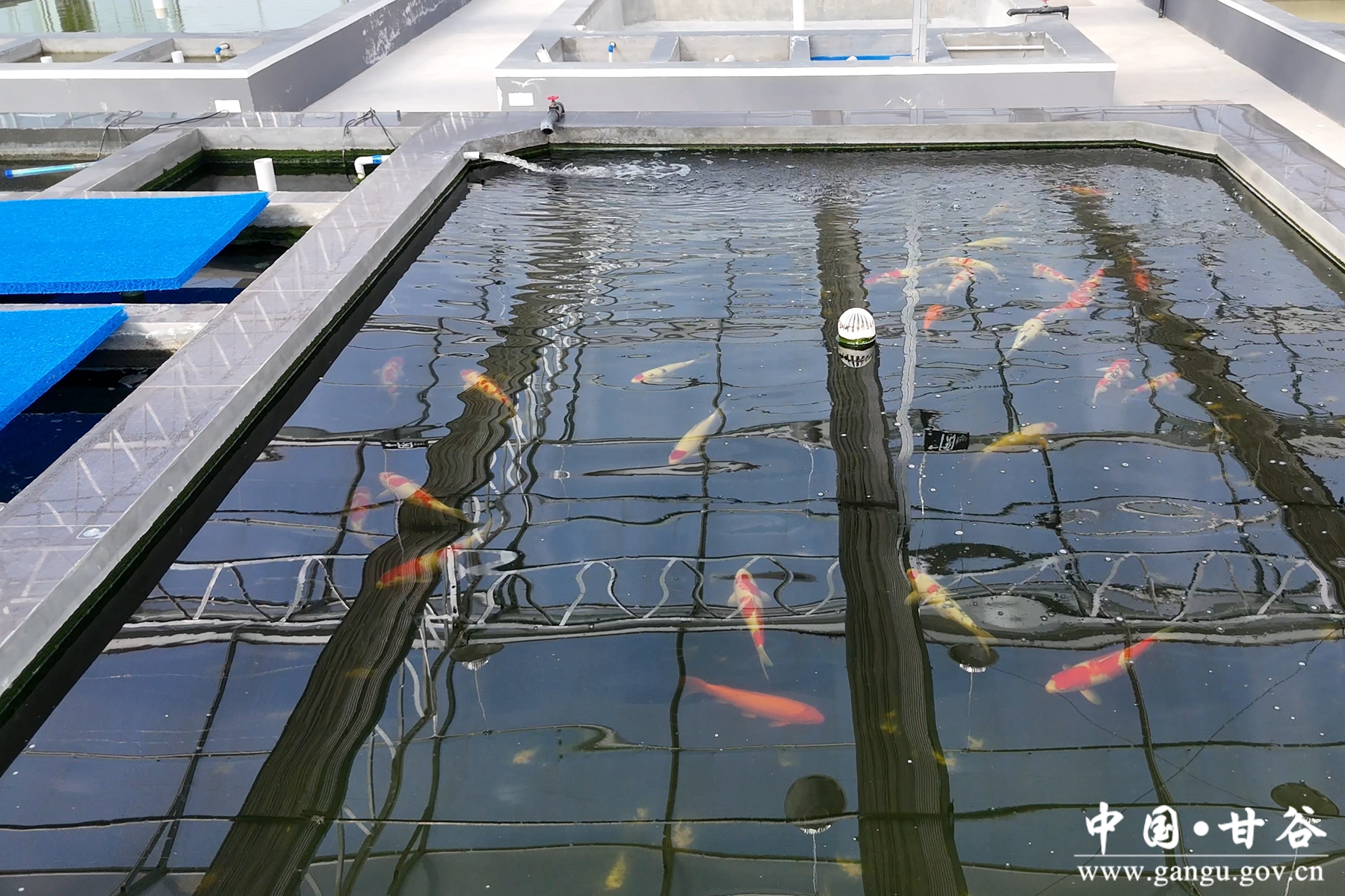 微信图片_20250321102726 微信图片_20250321102726