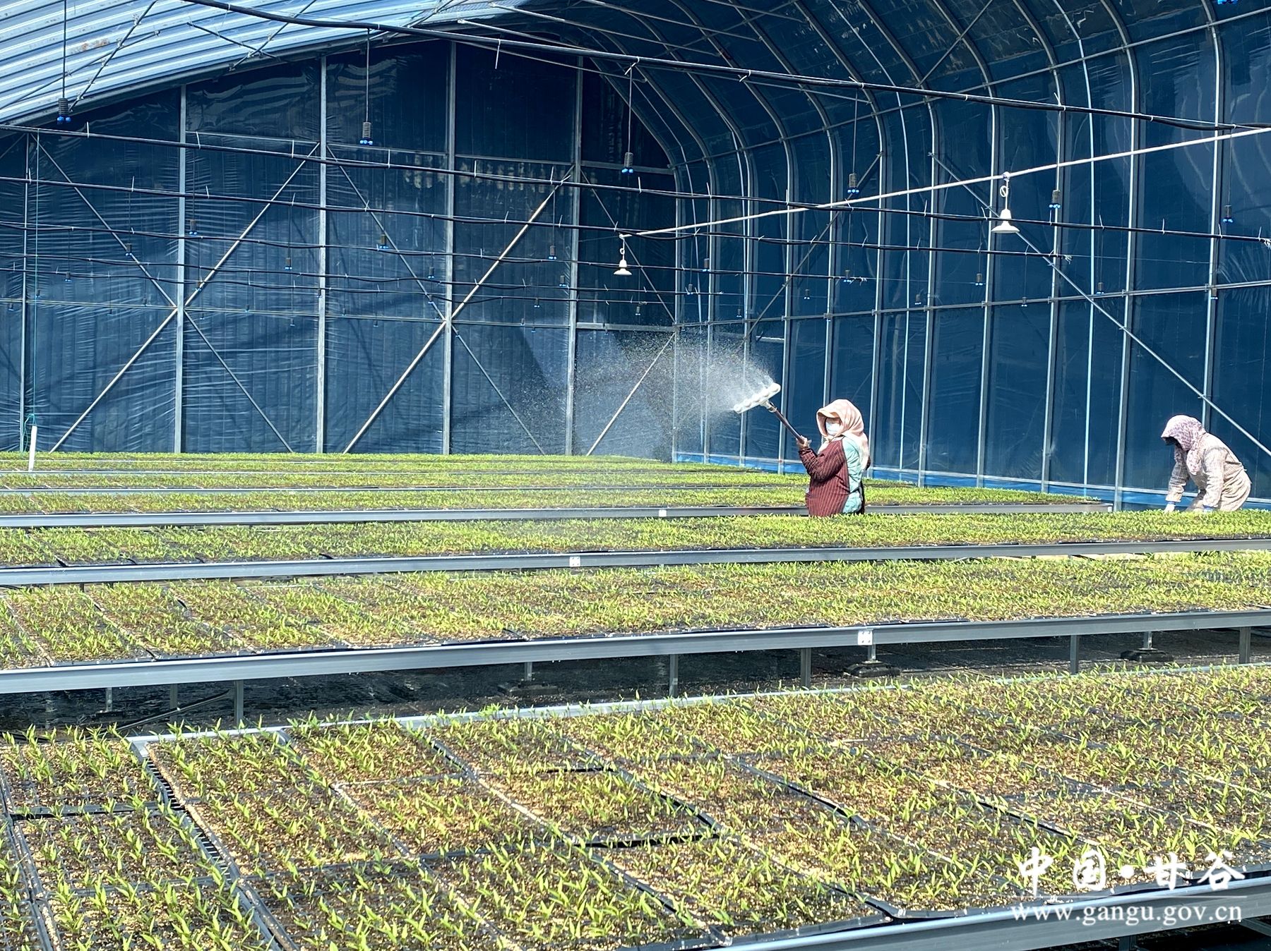 8bedc3e2d88cd6f91f13e040794c561 8bedc3e2d88cd6f91f13e040794c561