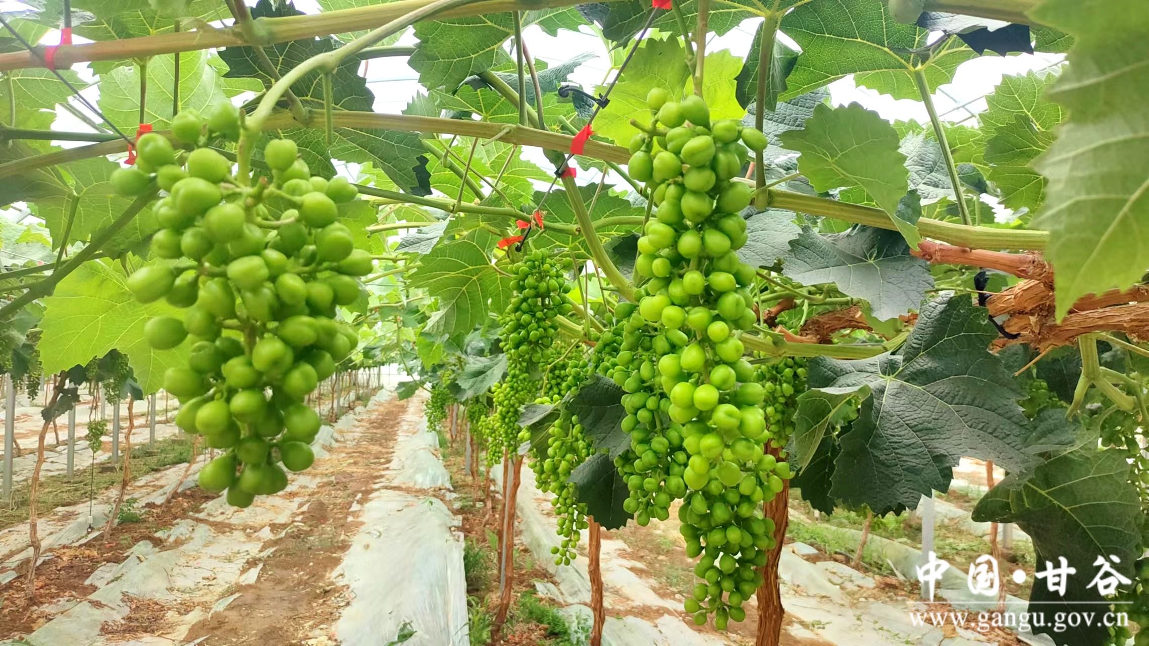 1718248968141029185.jpg 1718248968141029185.jpg