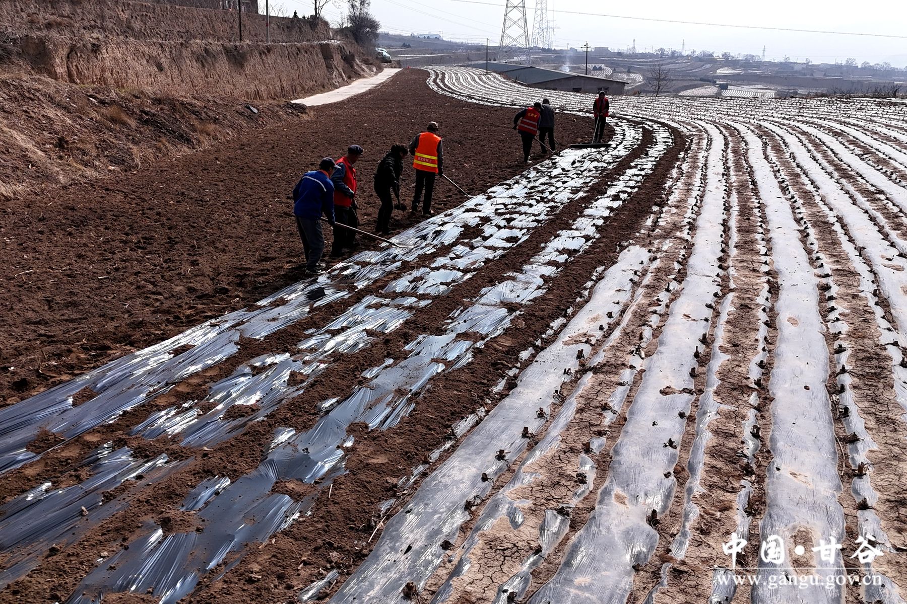 DJI_20250307111631_0596_D DJI_20250307111631_0596_D