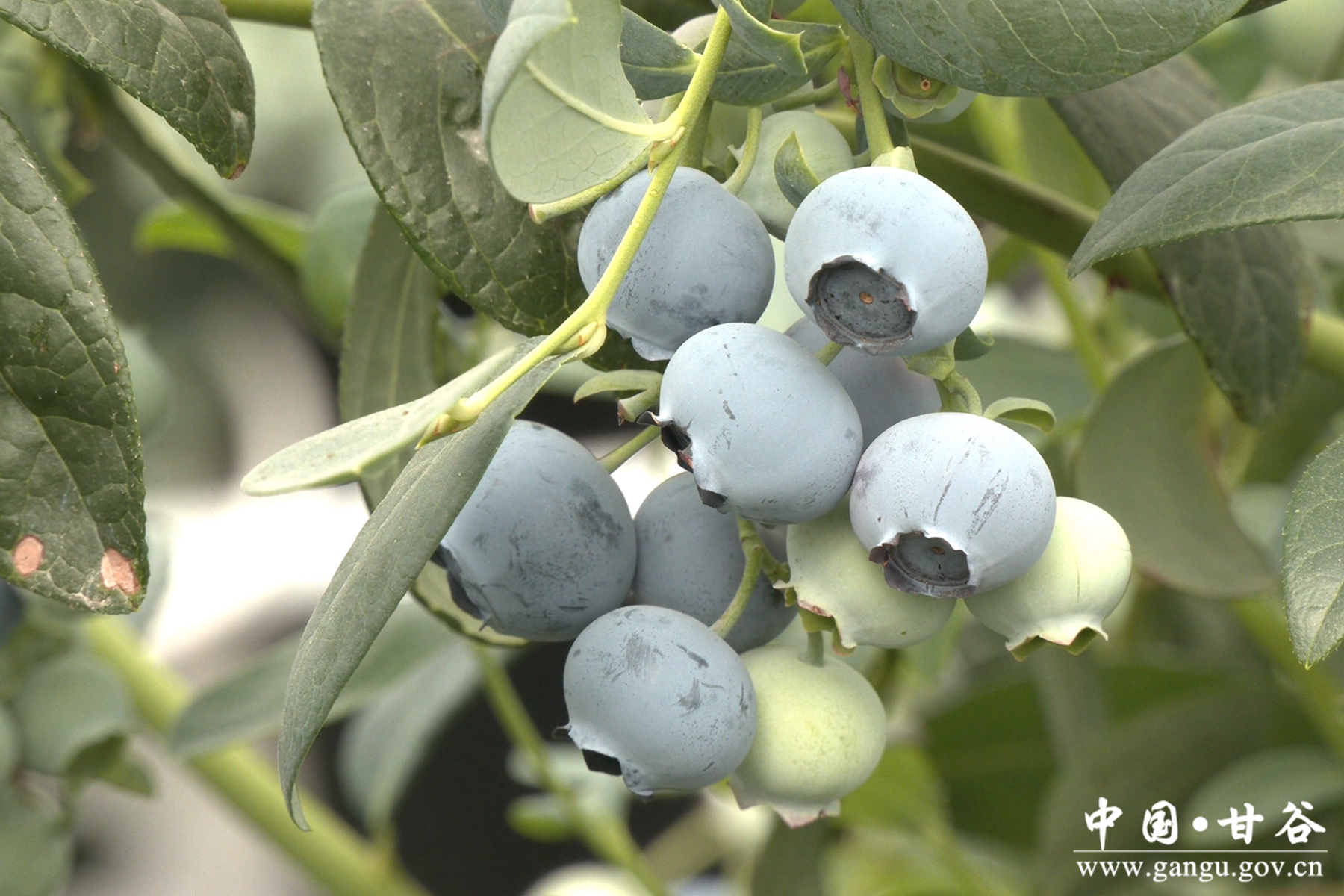 微信图片_20250328152651 微信图片_20250328152651